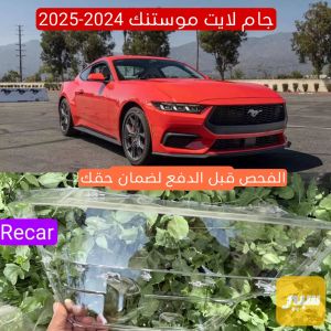 جام لايت موستنك 2024-2025