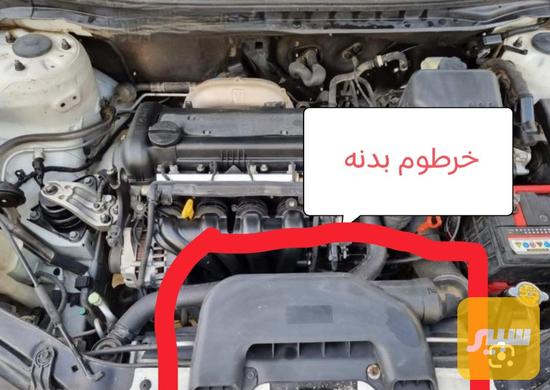 خرطوم بدنه