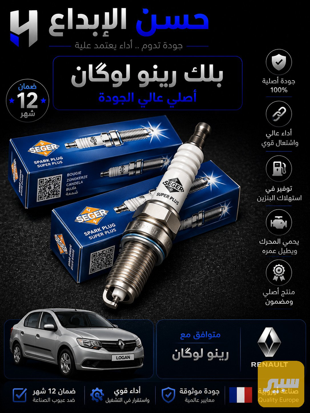 بلك رينو لوكان ضمان سنة