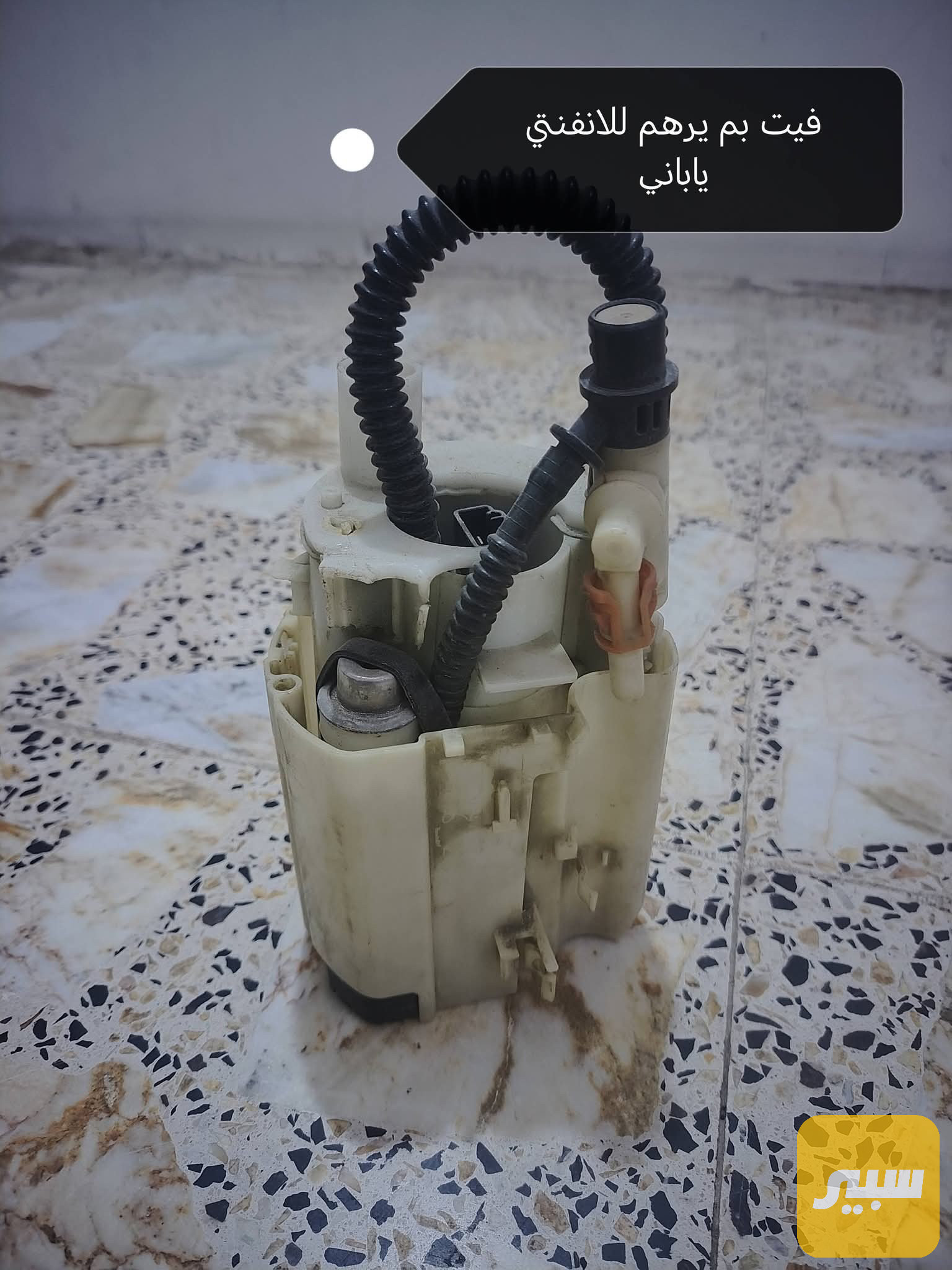 فيت بم ياباني