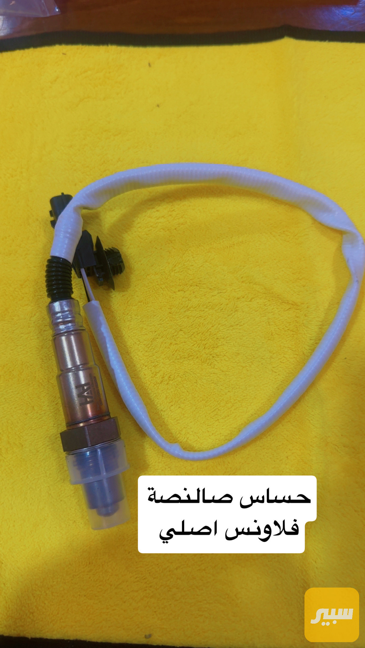 حساس صالنصة دايستر