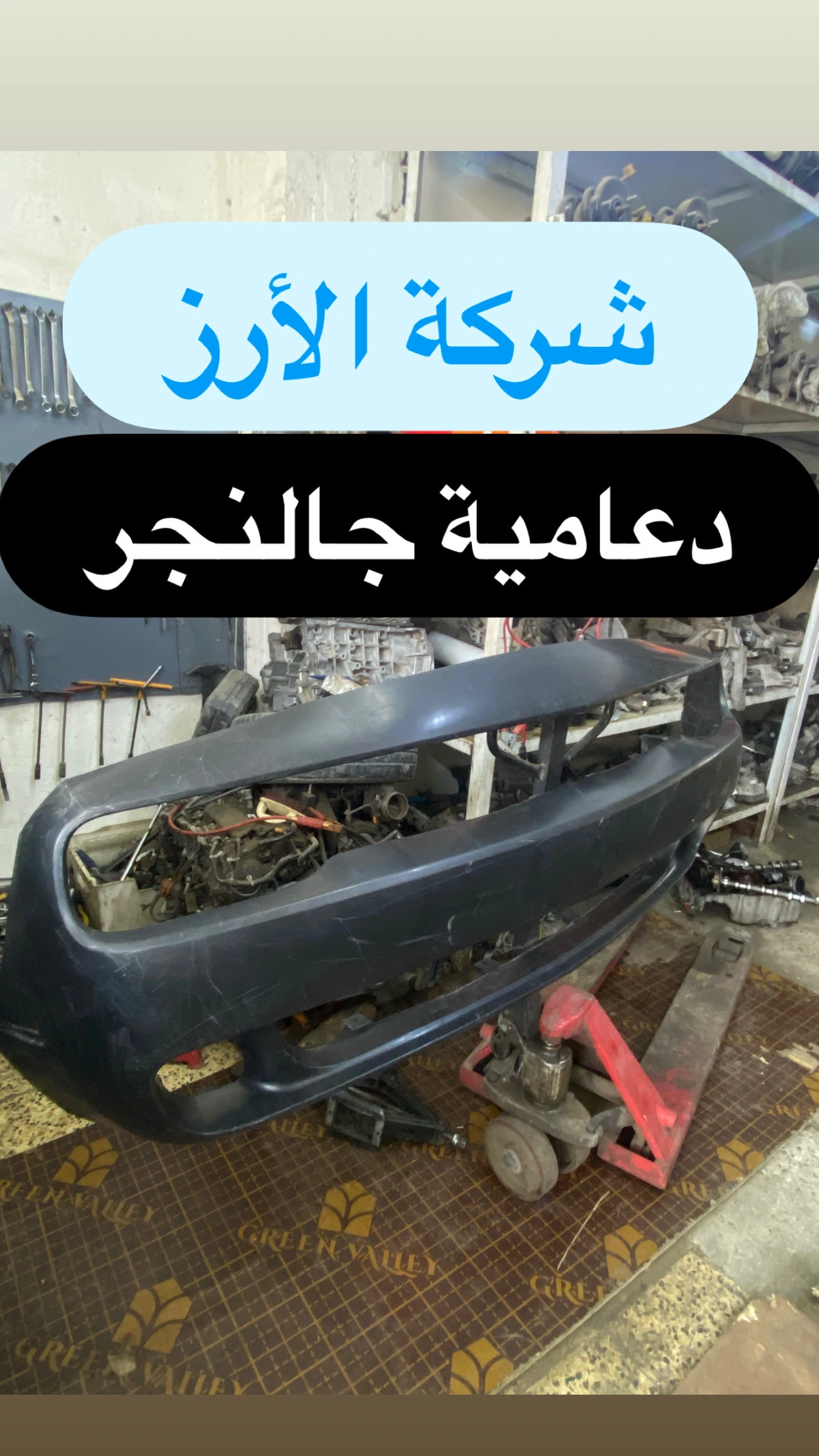 دعامية اماميه جالنجر