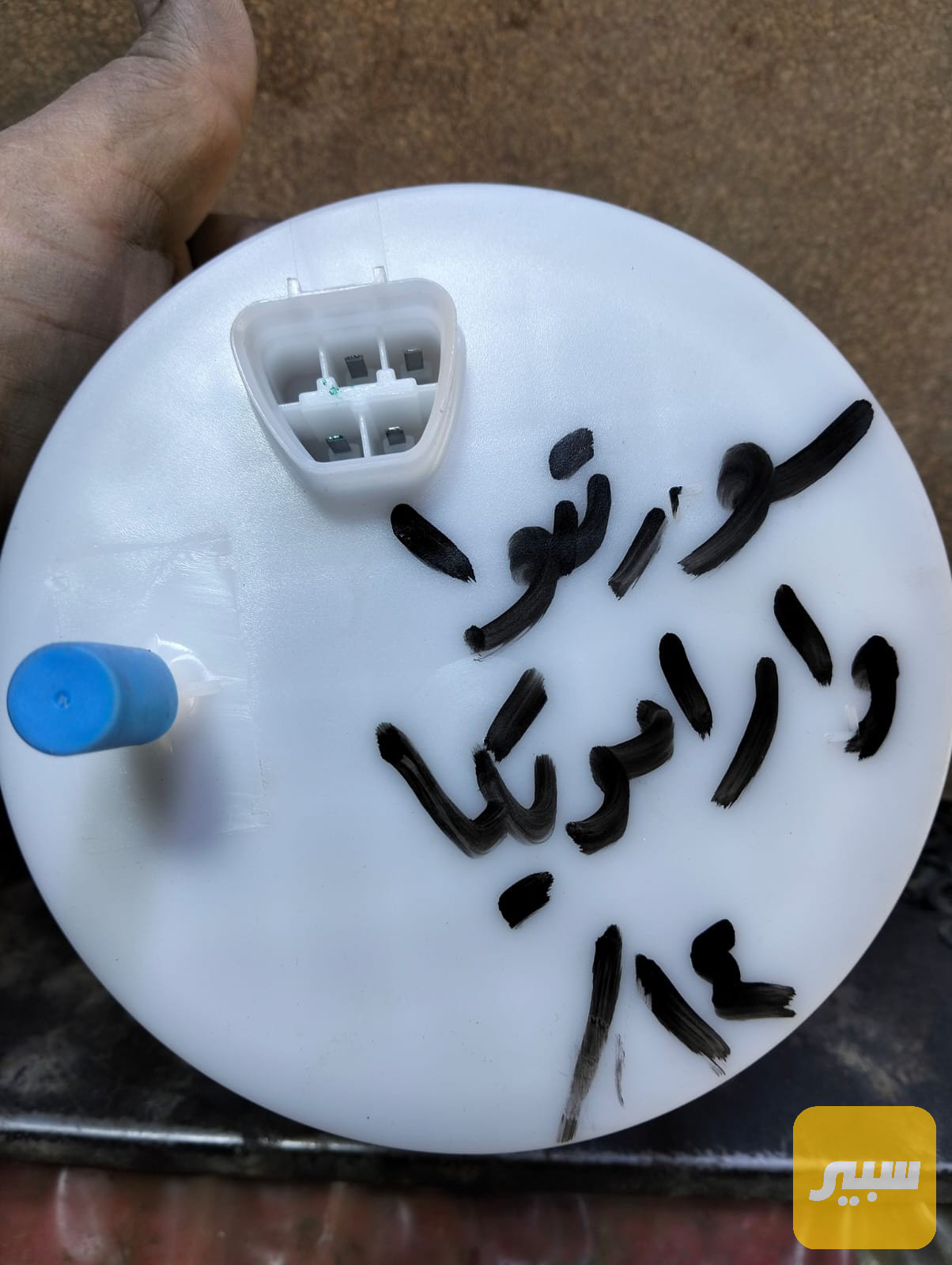 قبق فيت بم سورنتو امريكي