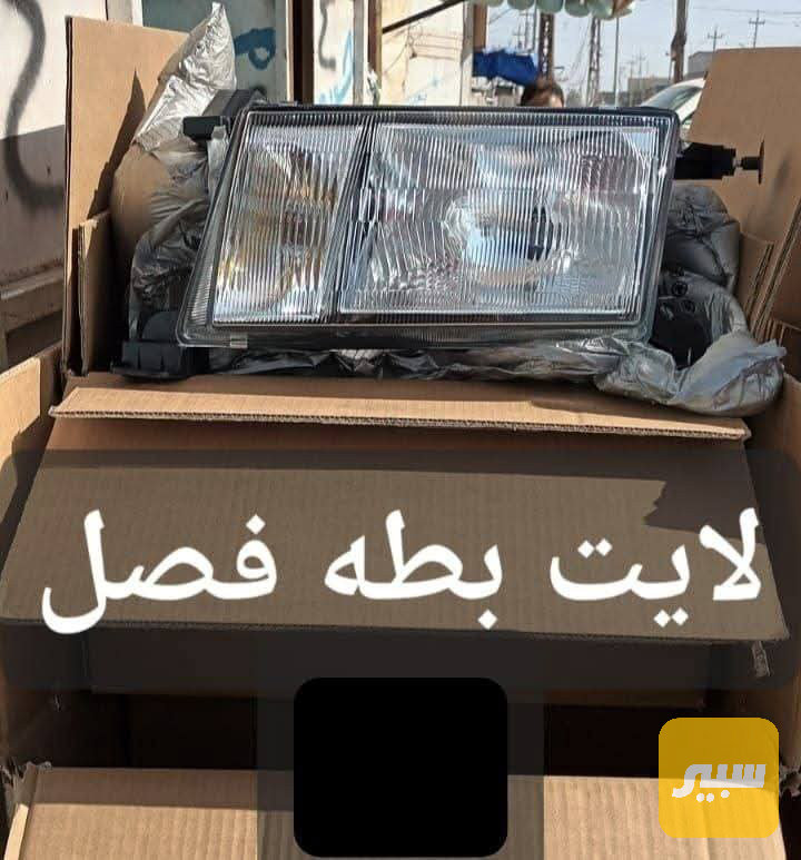 2 لايتات كراون بطة منفصل