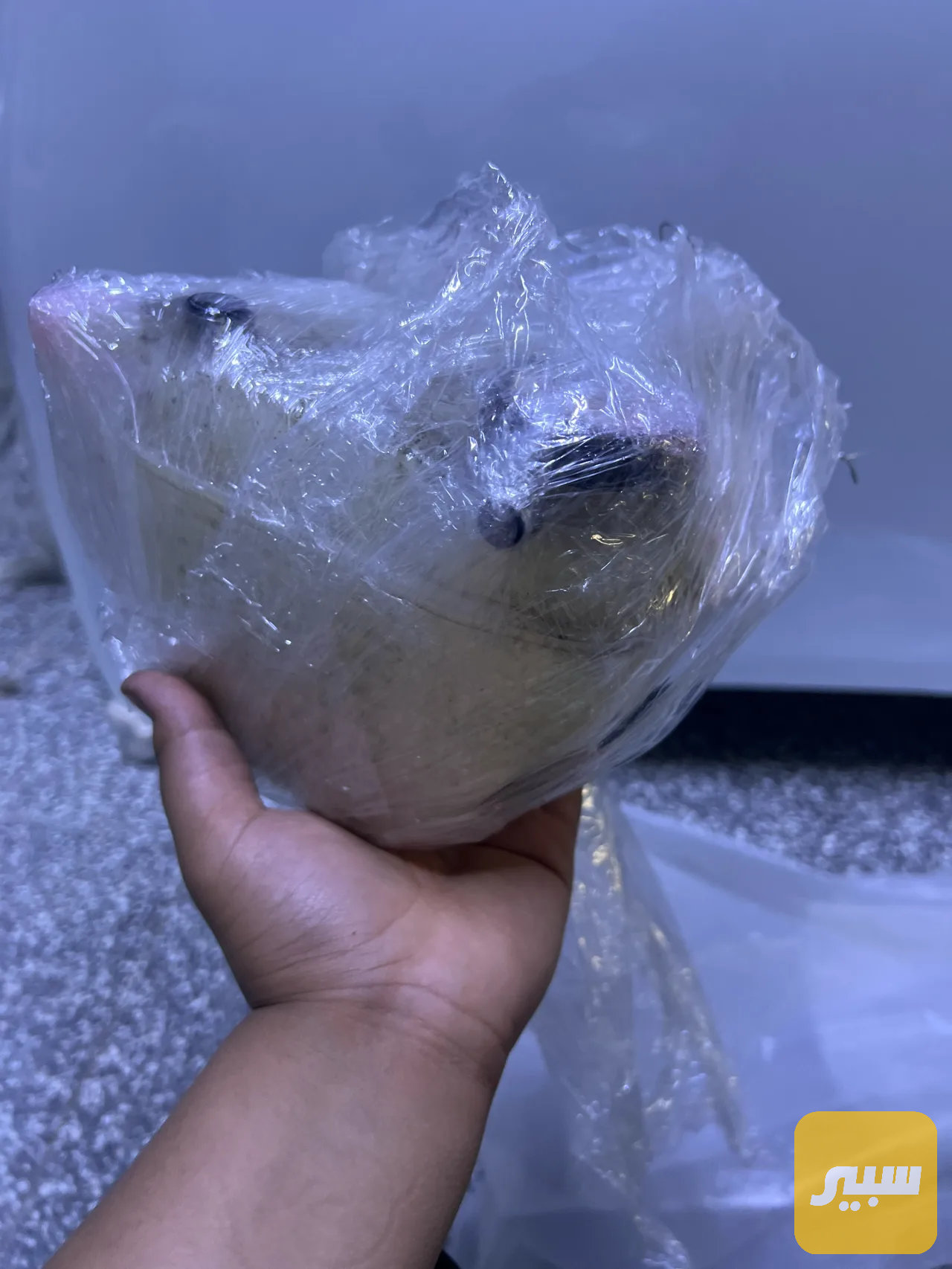 دبة كورلا امريكي وخليجي