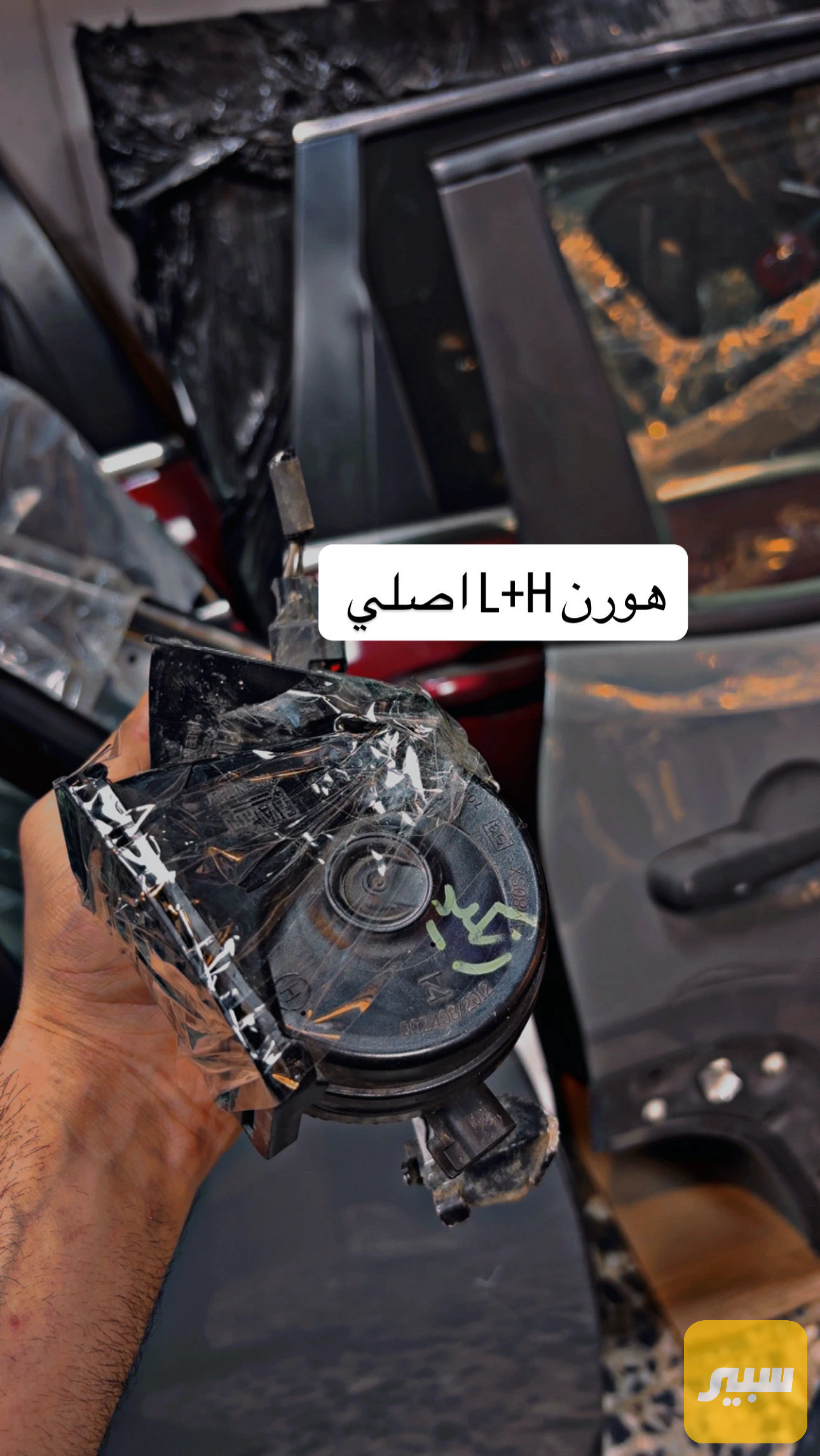هورن جيب