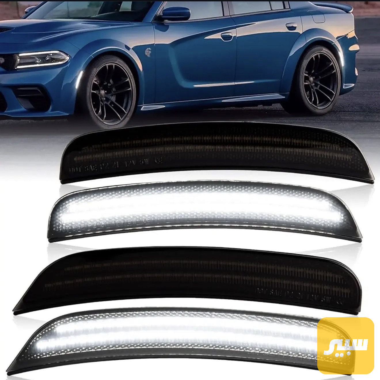 لد تكساس جارجر ابيض