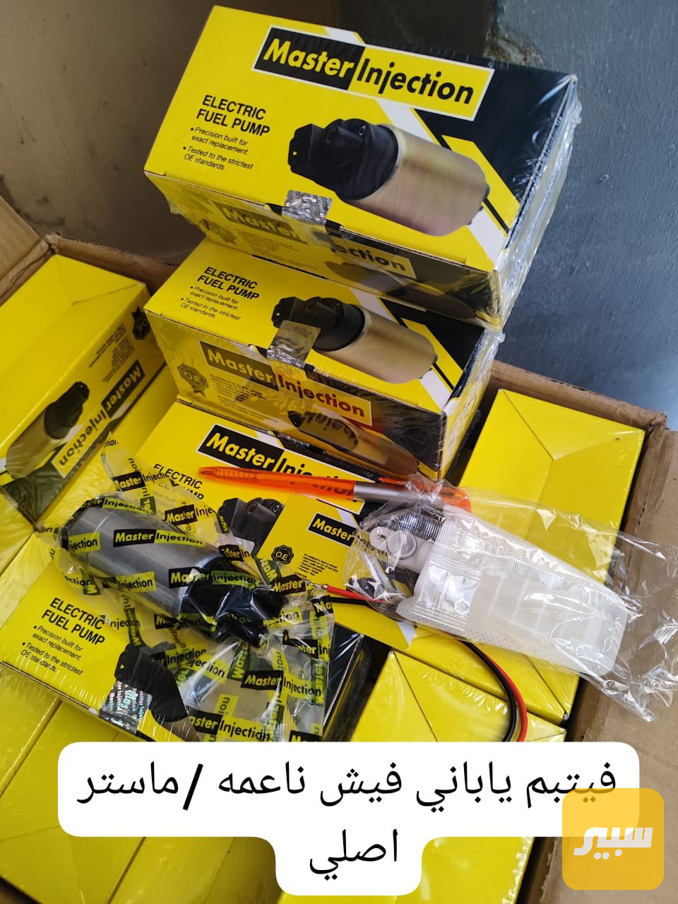 فيتبم ملكه فيشه ناعمه ماستر