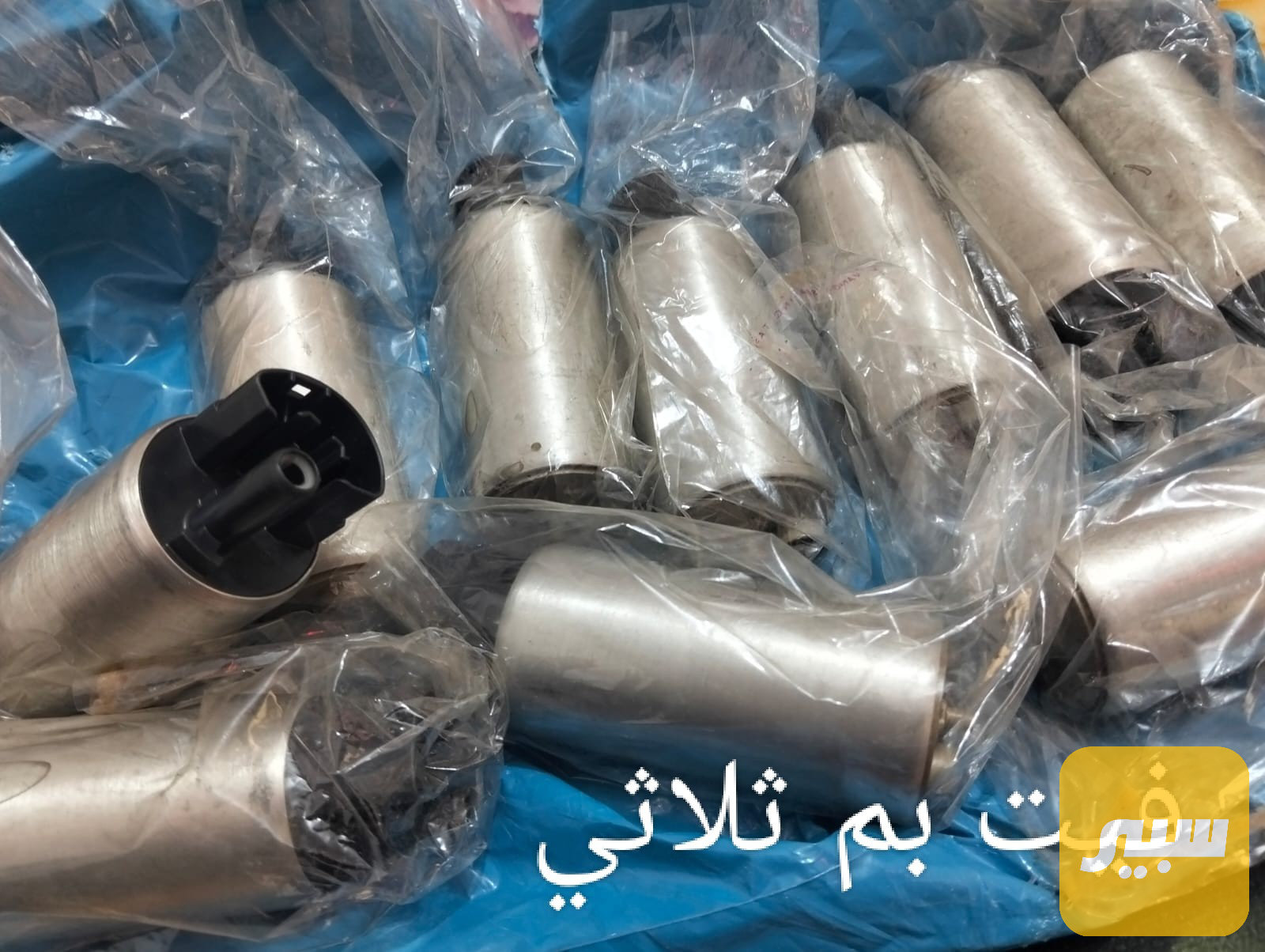 فيت بم ثلاثي سينا هايسة كورلا