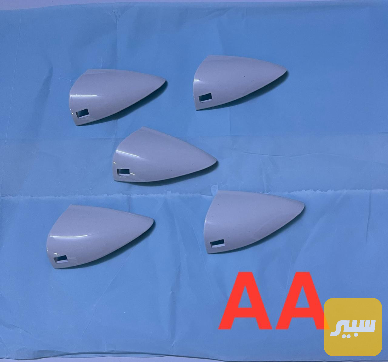 عصفورية يدة باب
