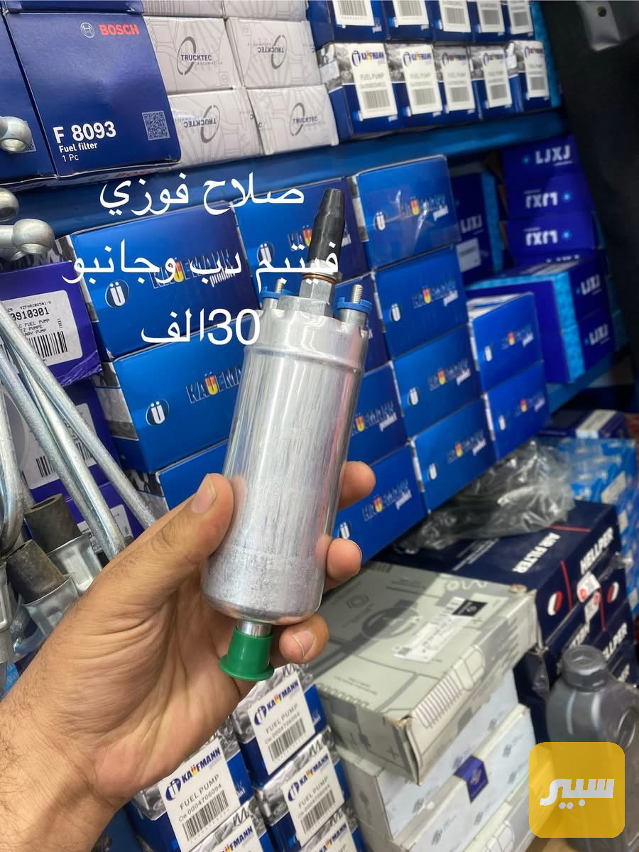 فيتبم دب جامبو
