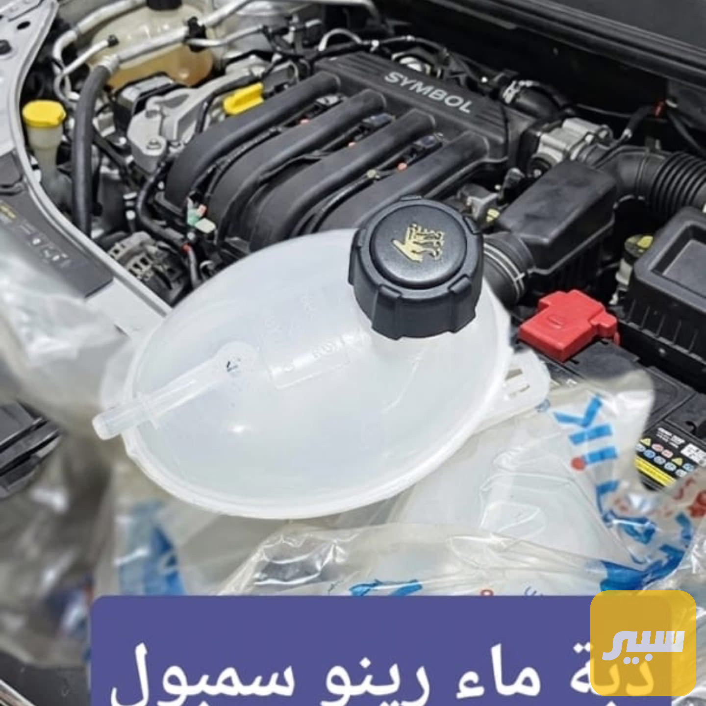دبة ماء رينو سيمبول