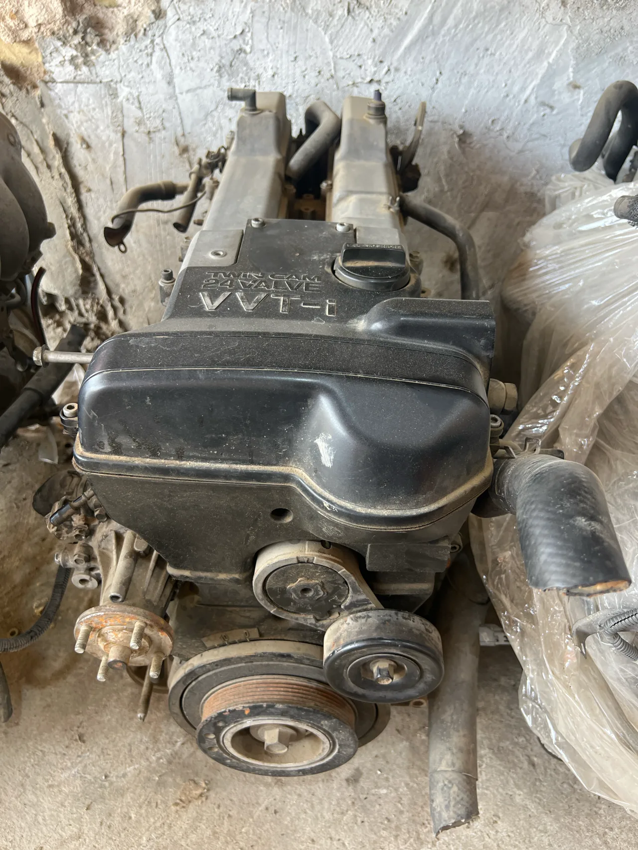 طابوكة VVT ملكه وراس الثور وارد يابان