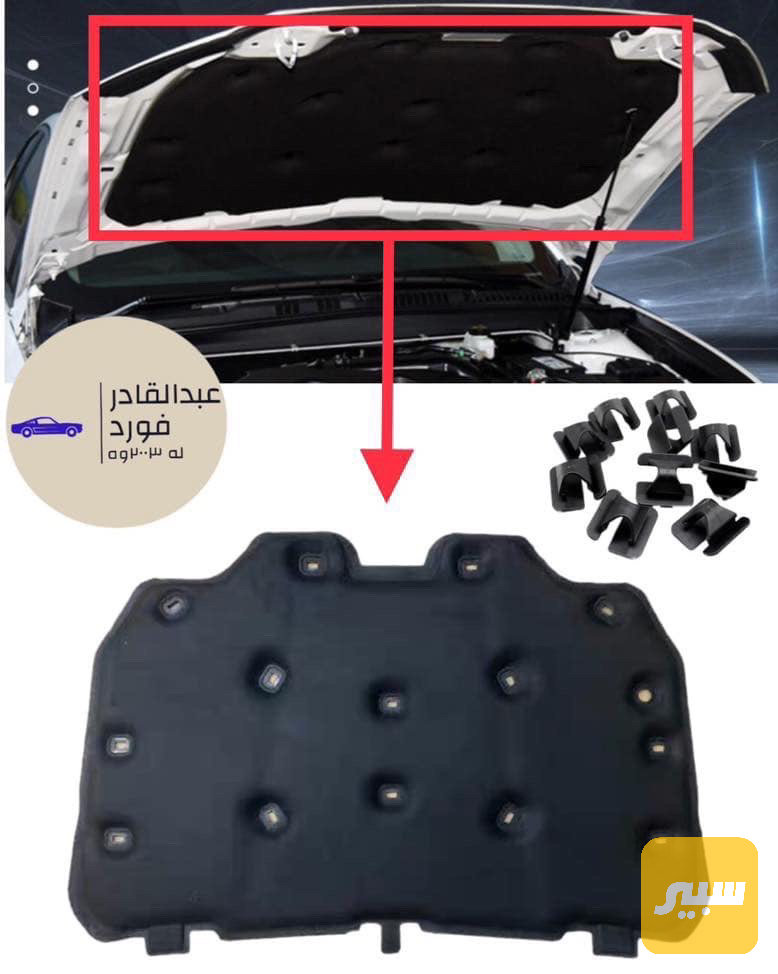 بەرگی بۆنیت-کفر بطانة بنید