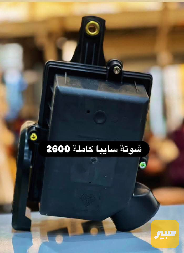 شوته سايبه