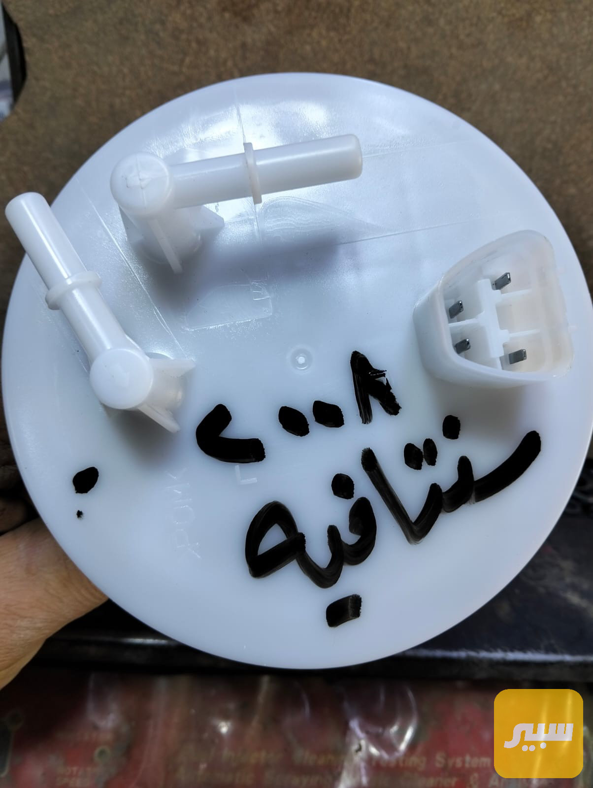 قبق فيت بم سنتافيا