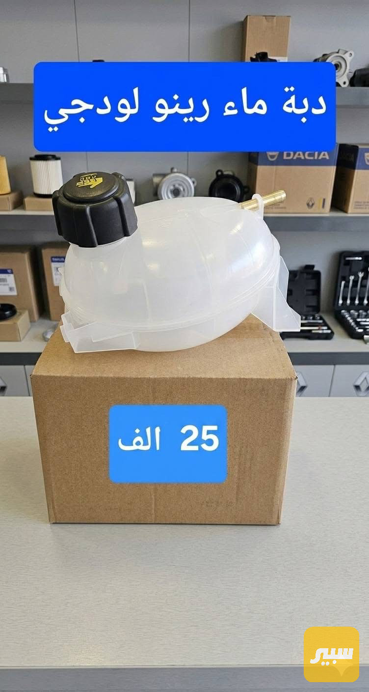 دبة ماء رينو لودجي
