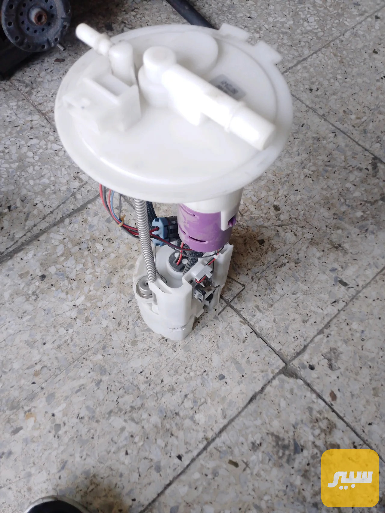 عبوة فيت بم