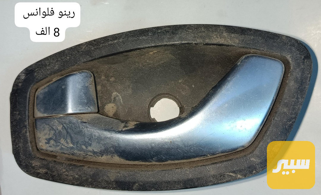 يده باب رينو فلونس
