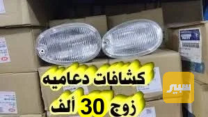 كشافات ماليزي