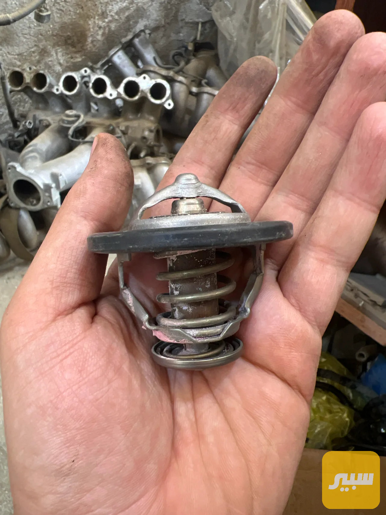ولف حماوه محرك vvt