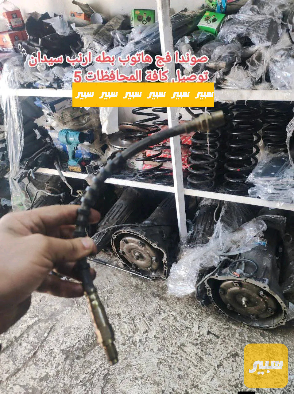 صودنة فج كراون.. بطة، ارنب، هاتوب