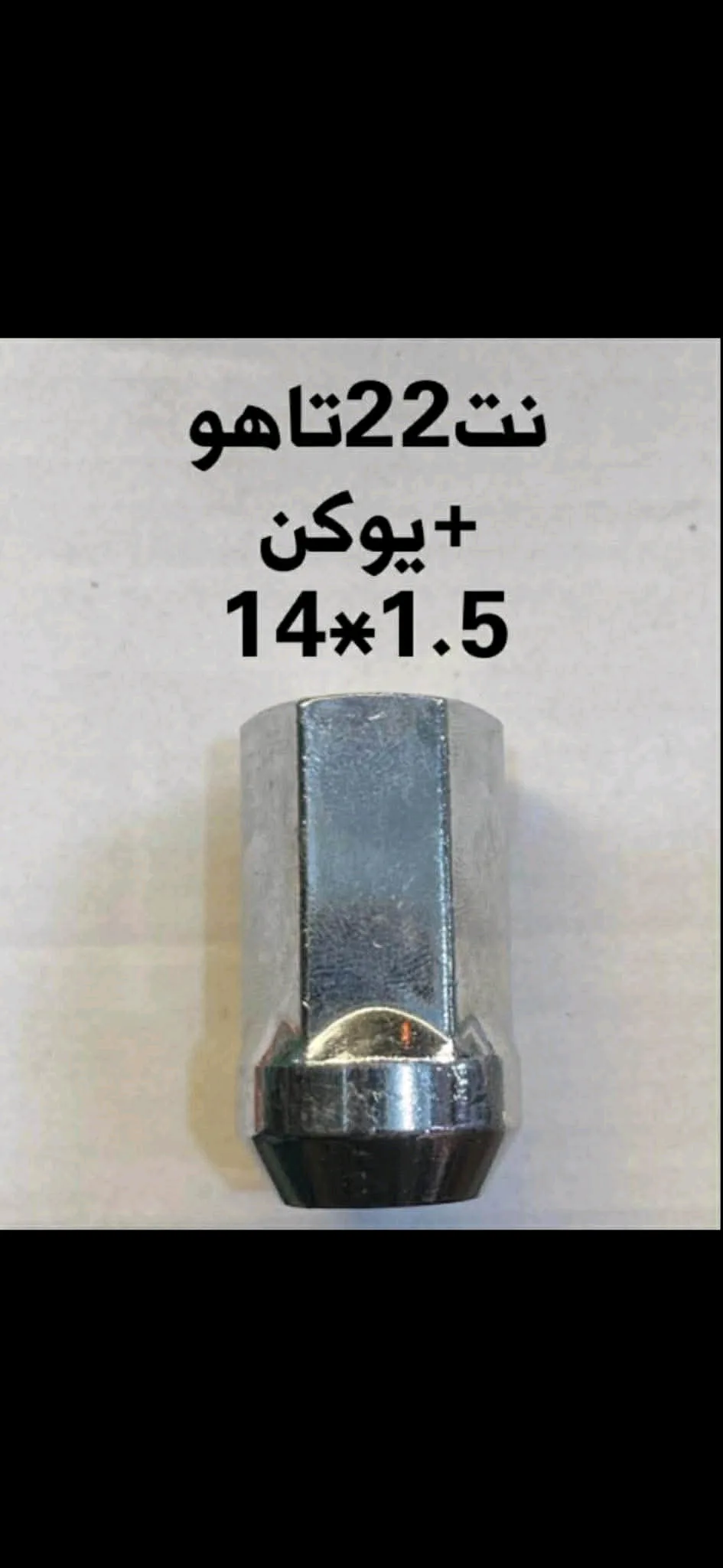 نت22 طويل