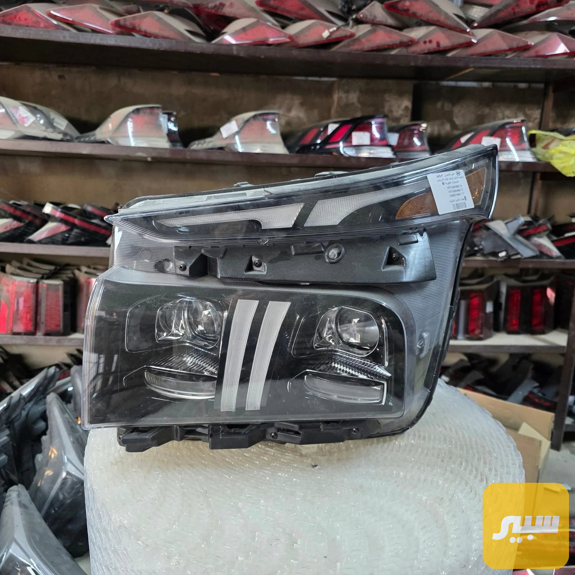 لايت سنتافيا 22-23