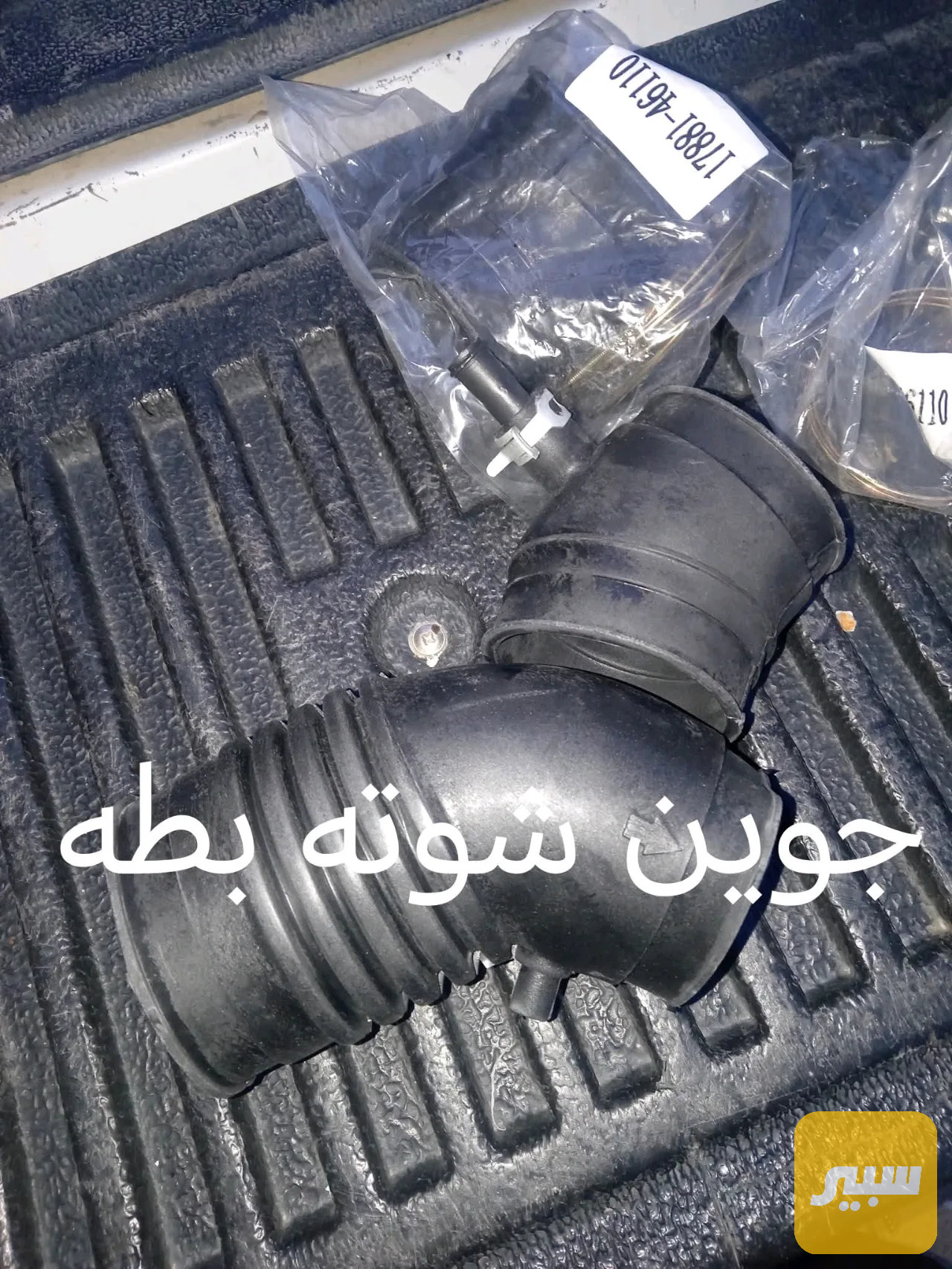 جوين شوته كبير بطة