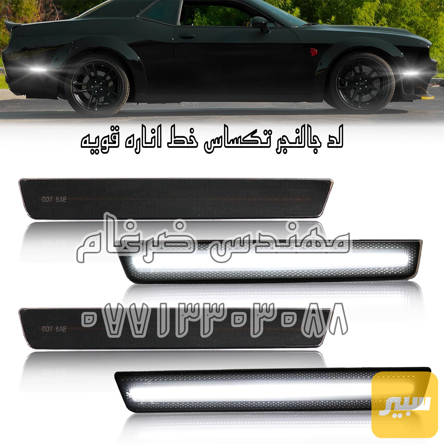 لد جالنجر ابيض