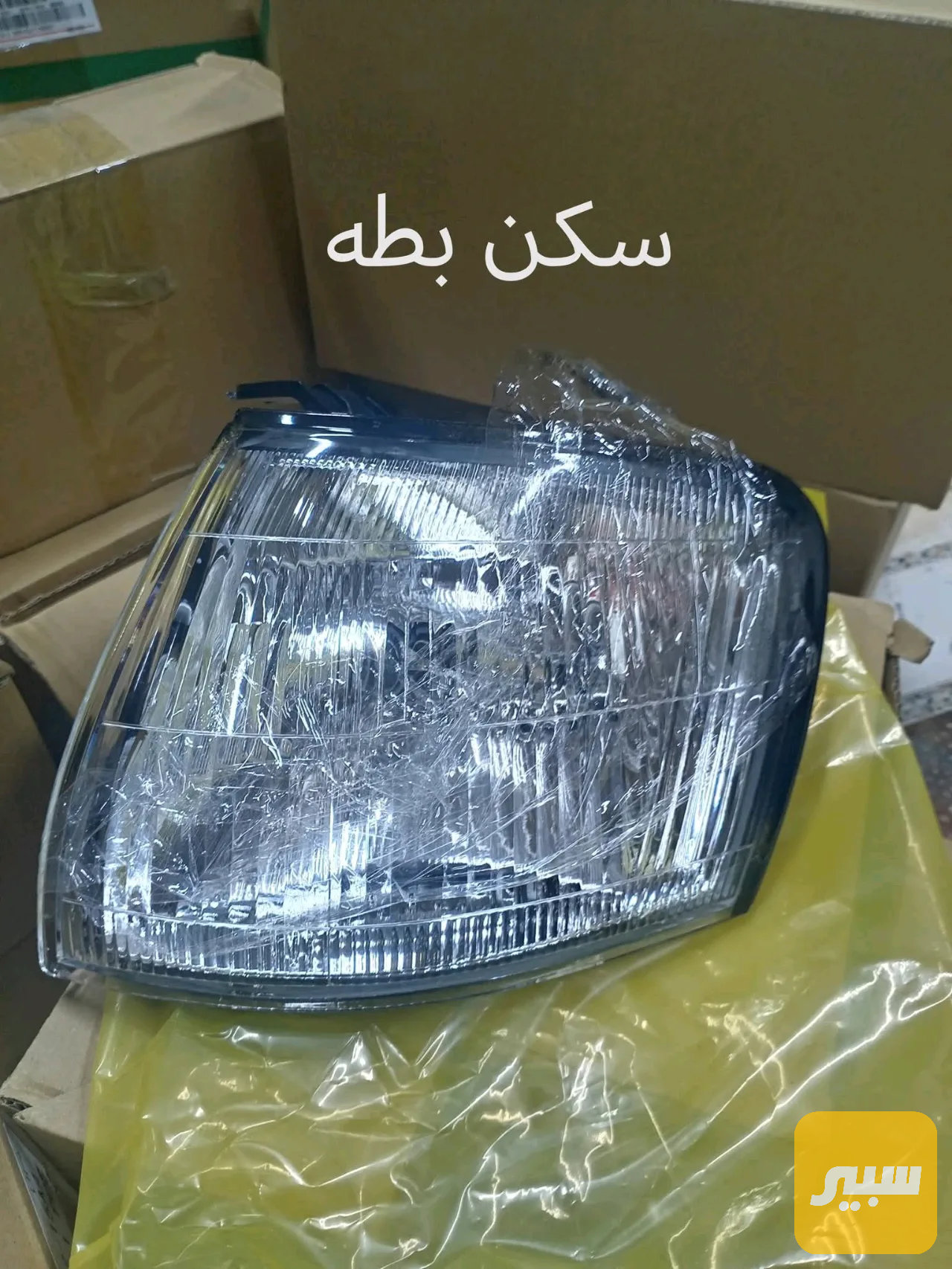 سكن بطة متصل ومنفصل زوج