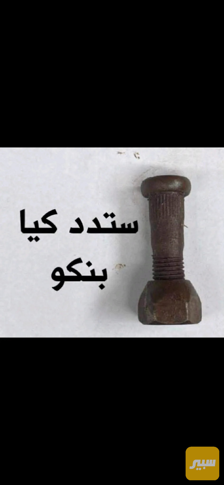ستد ينمو امامي