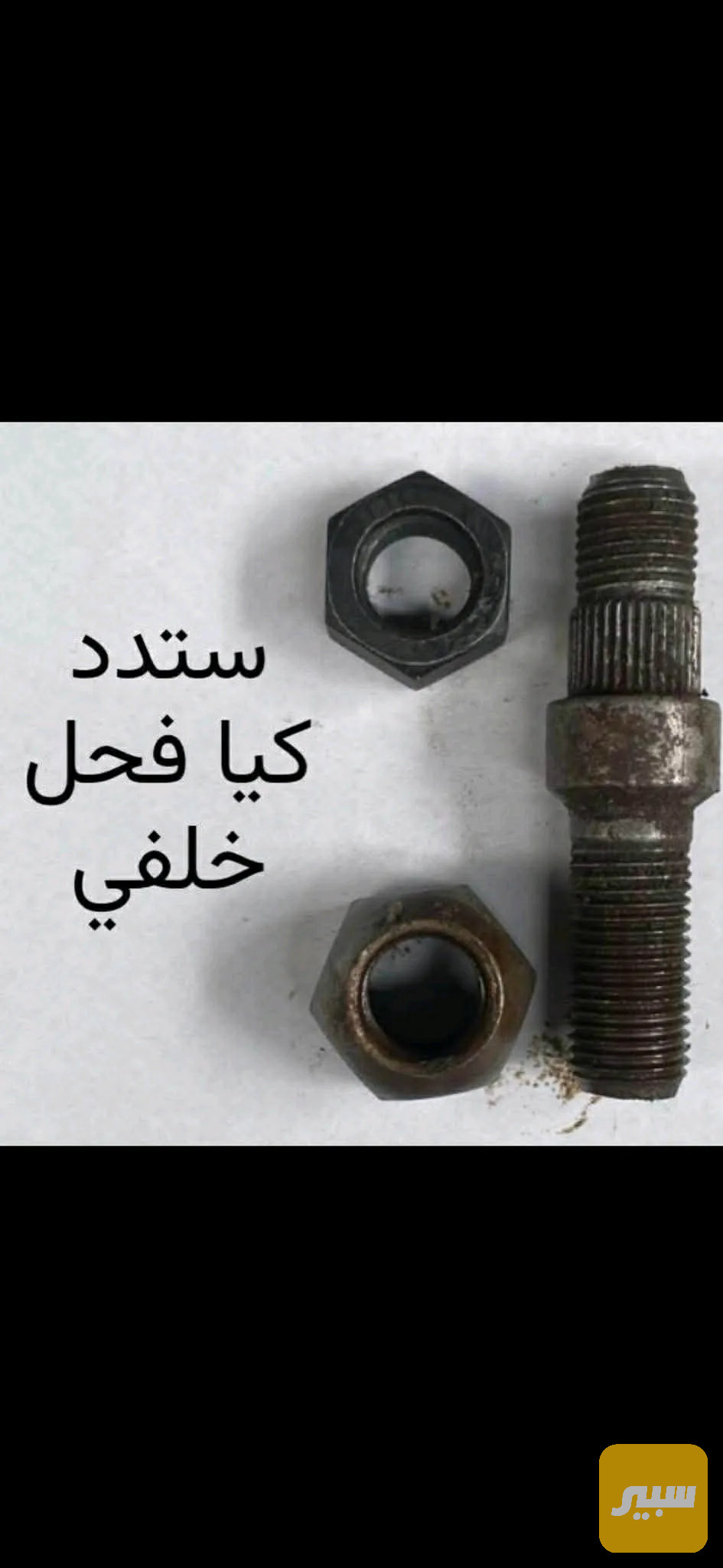 ستد بنو فكل خلفي