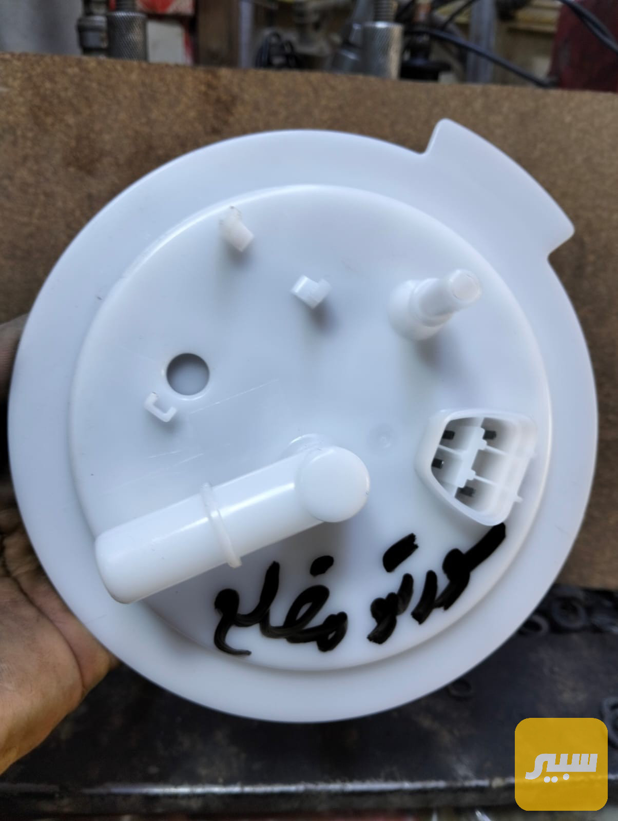 قبق فيت بم سورنتو مضلع