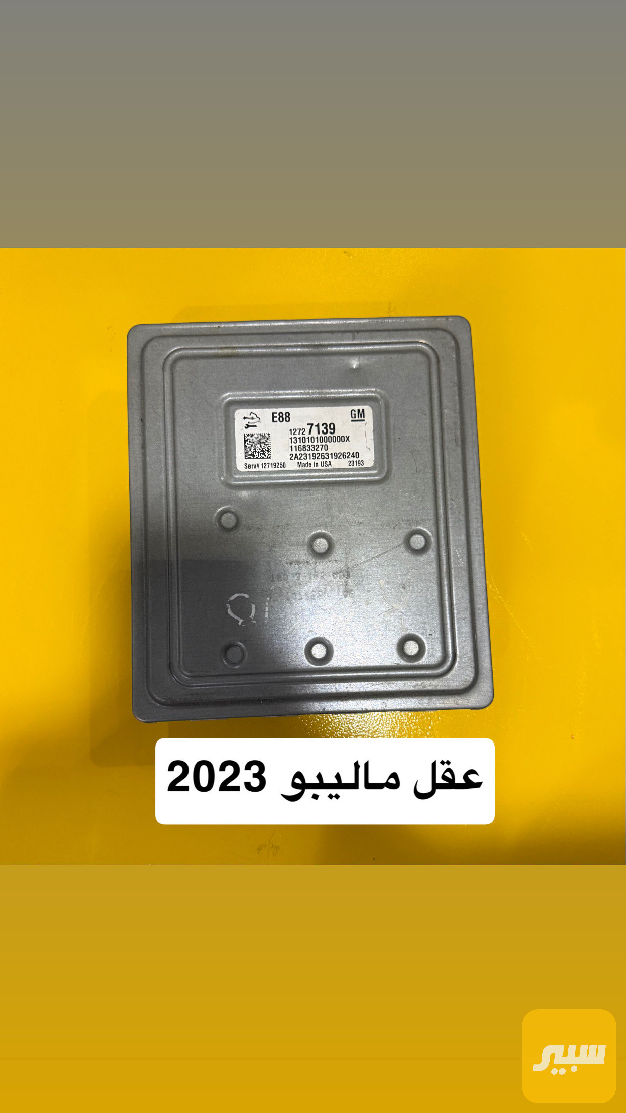 عقل ماليبو