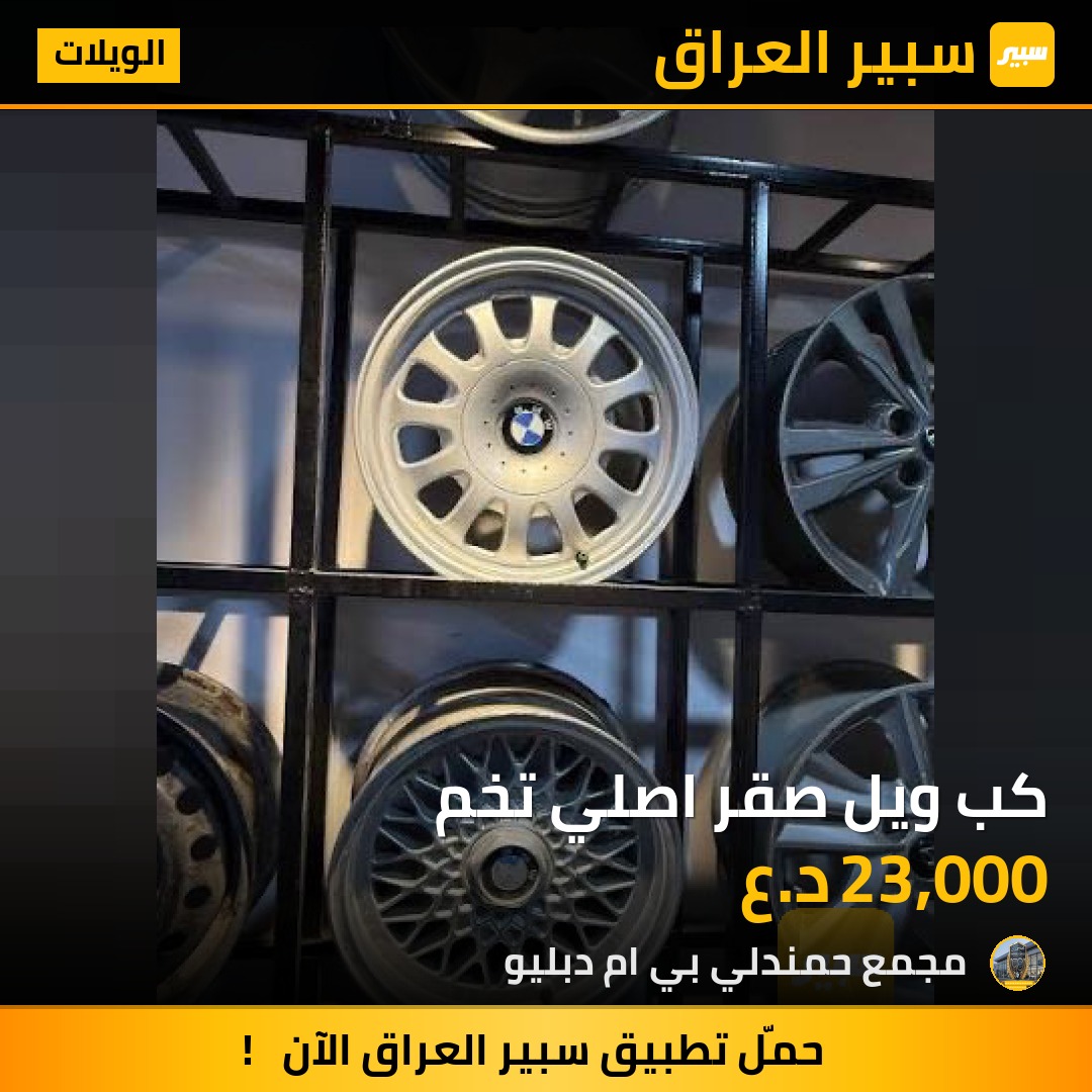 كب ويل صقر اصلي تخم | سبير