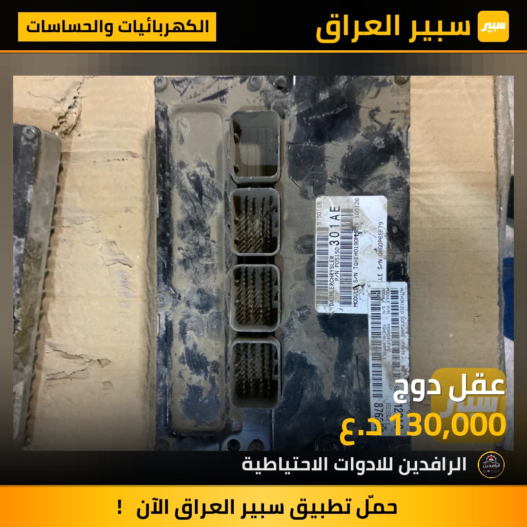 عقل دوج | سبير