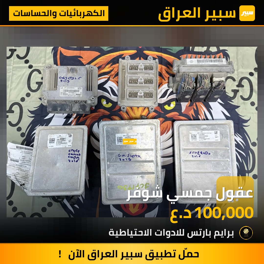 عقول جمسي شوفر | سبير