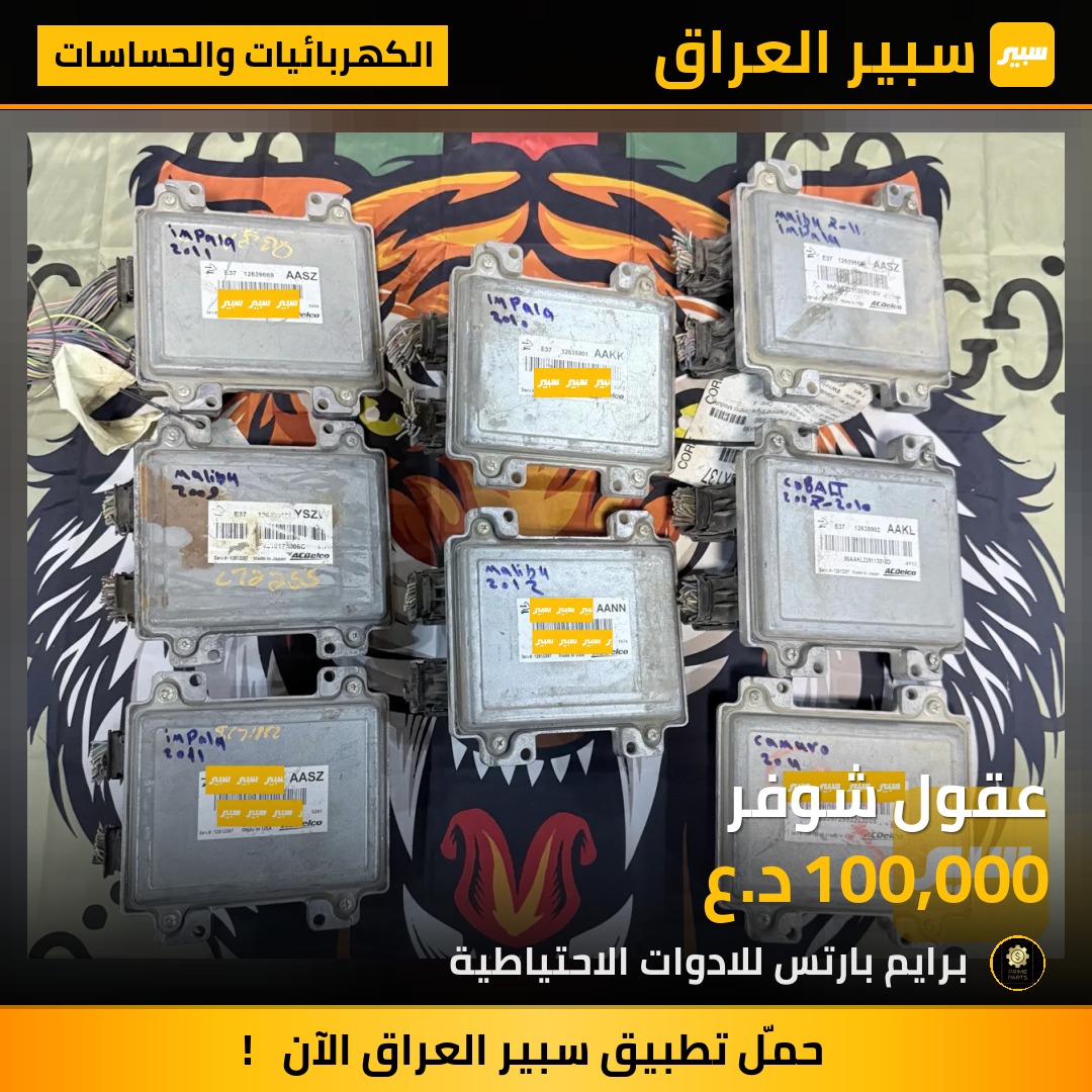 عقول شوفر | سبير