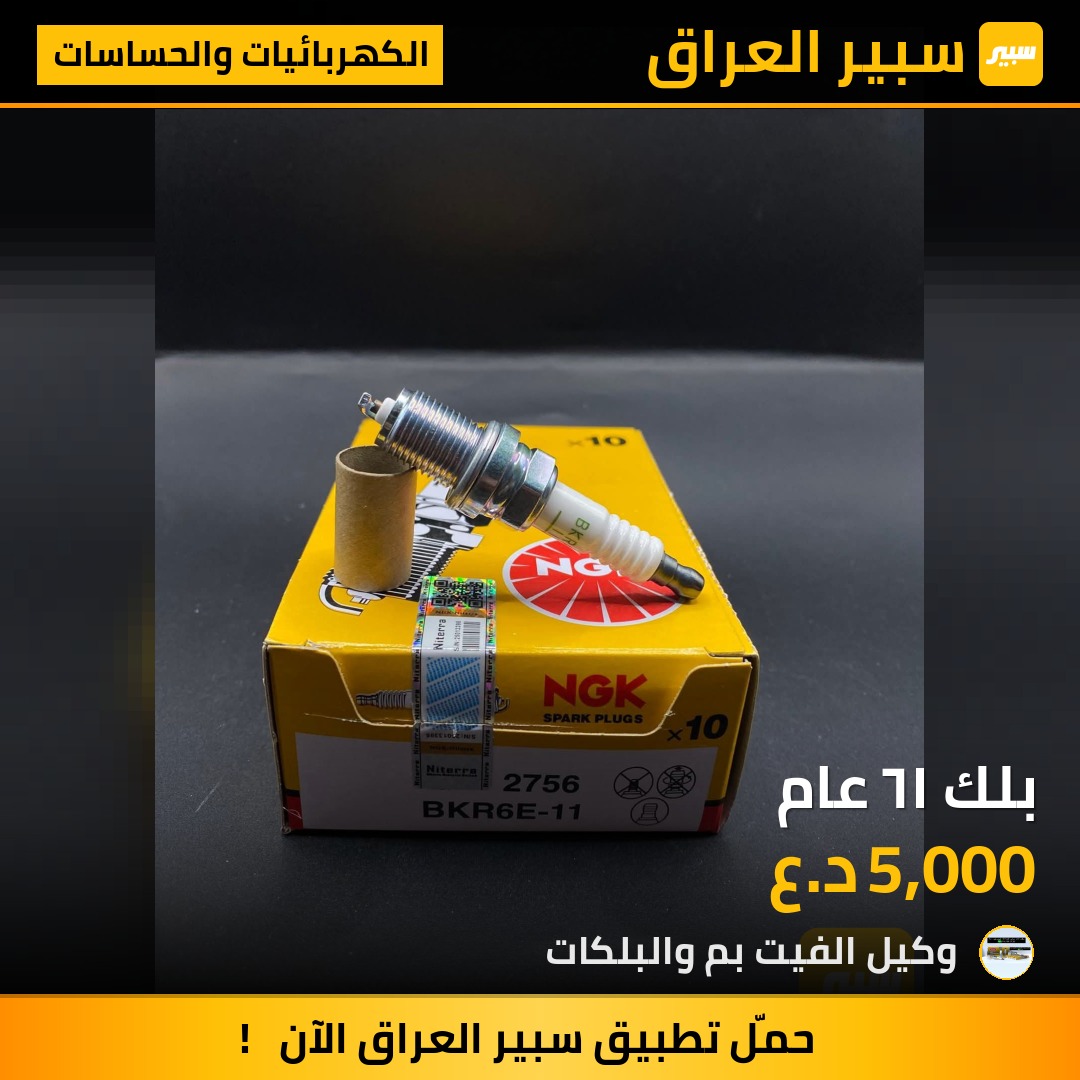 بلك ١٦ عام - الكهربائيات والحساسات