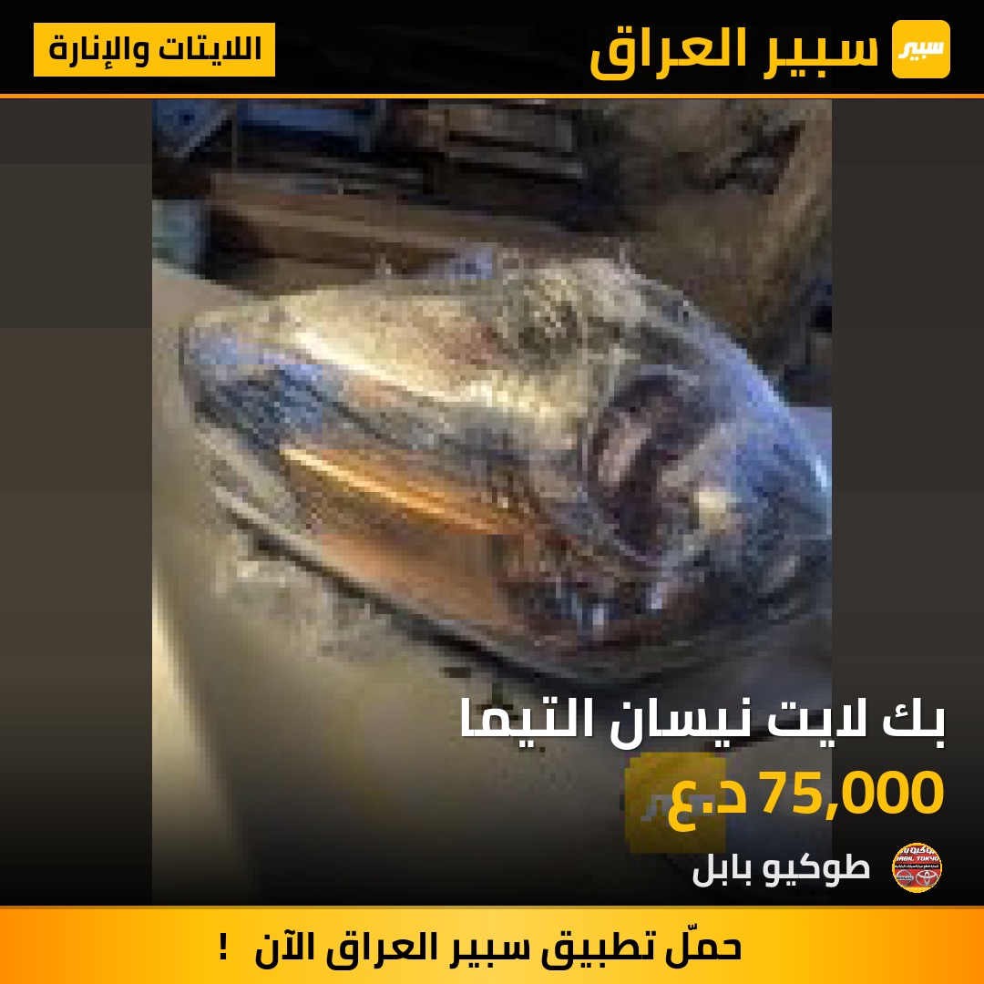 بك لايت نيسان التيما | سبير