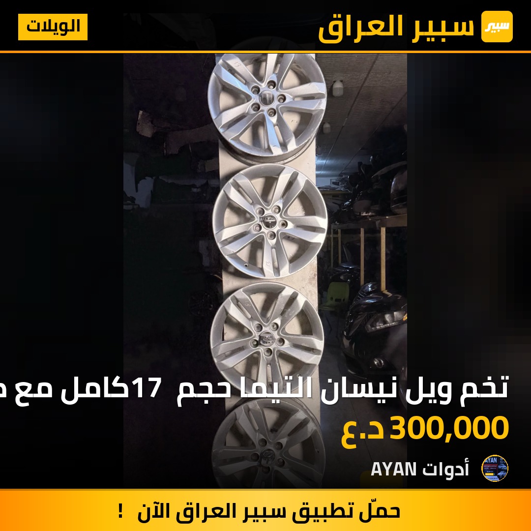 تخم ويل نيسان التيما حجم 17 كامل مع كبات | سبير