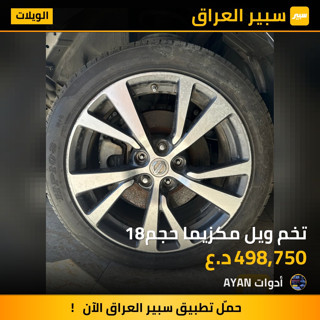 تخم ويل مكزيما حجم18 | سبير