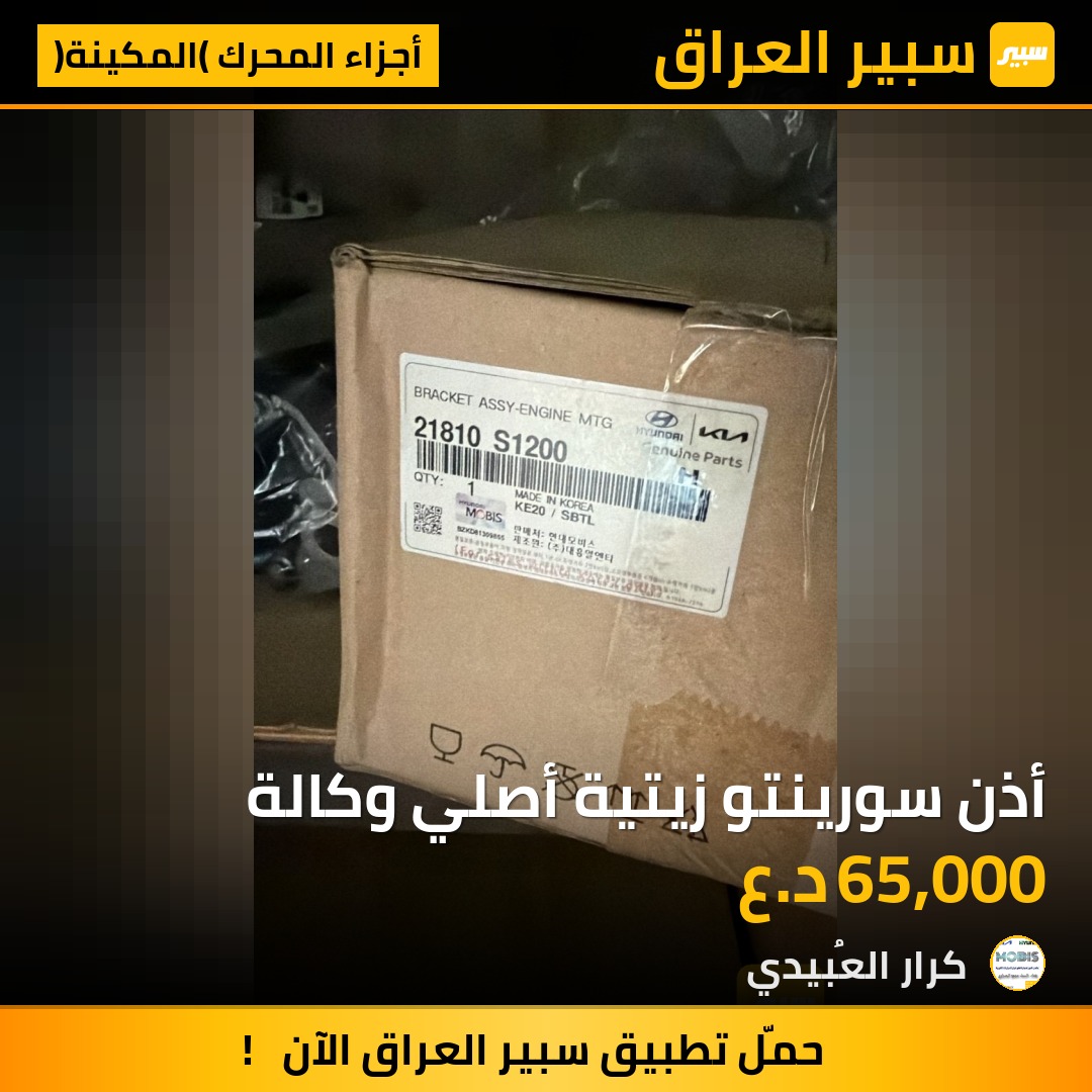 أذن سورينتو زيتية أصلي وكالة | سبير