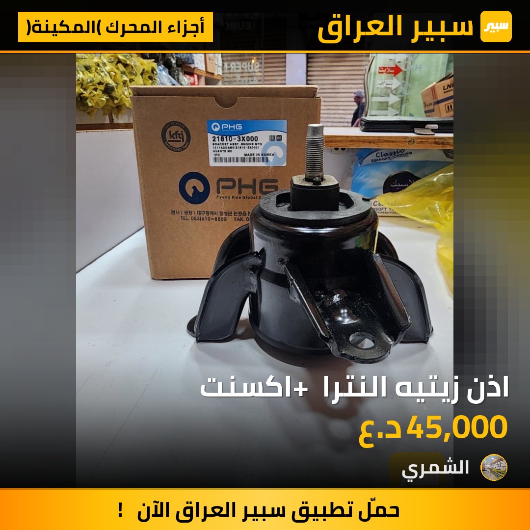 اذن زيتيه النترا + اكسنت | سبير