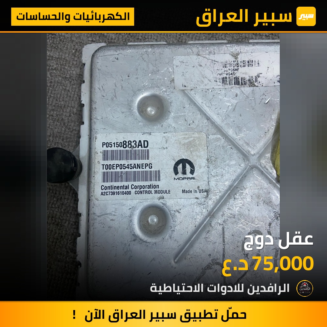 عقل دوج | سبير