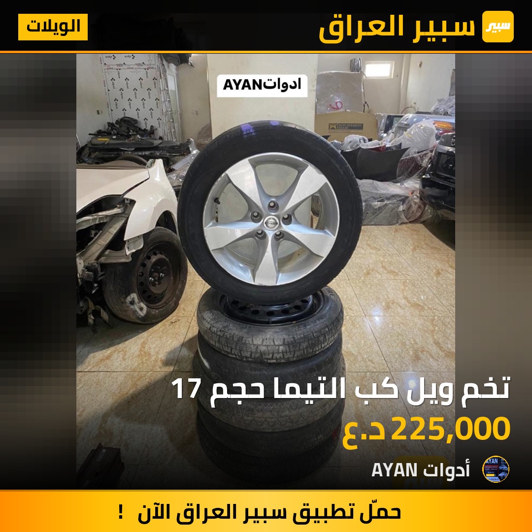 تخم ويل كب التيما حجم 17 | سبير