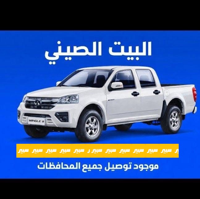 البيت الصيني