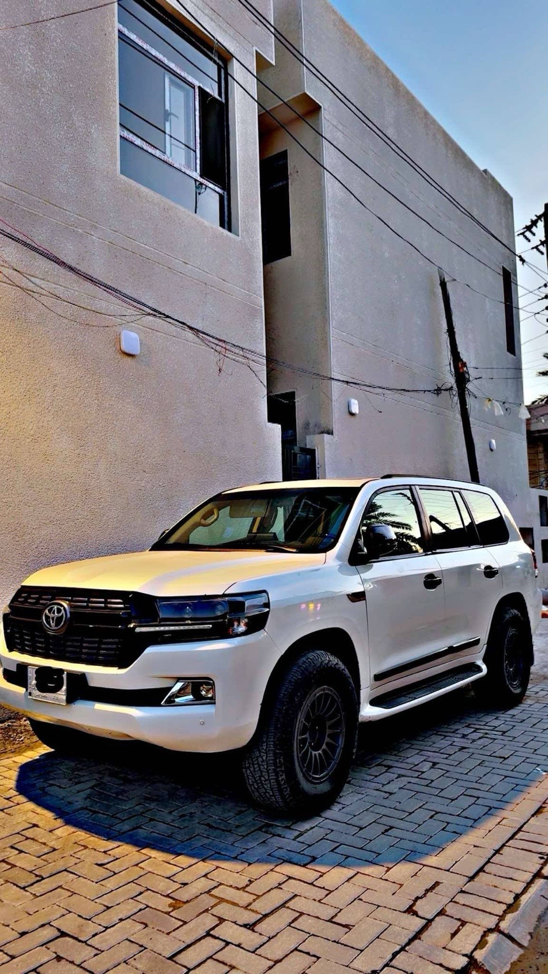 مصطفى حسام